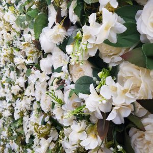 white rose and foliage flower wall