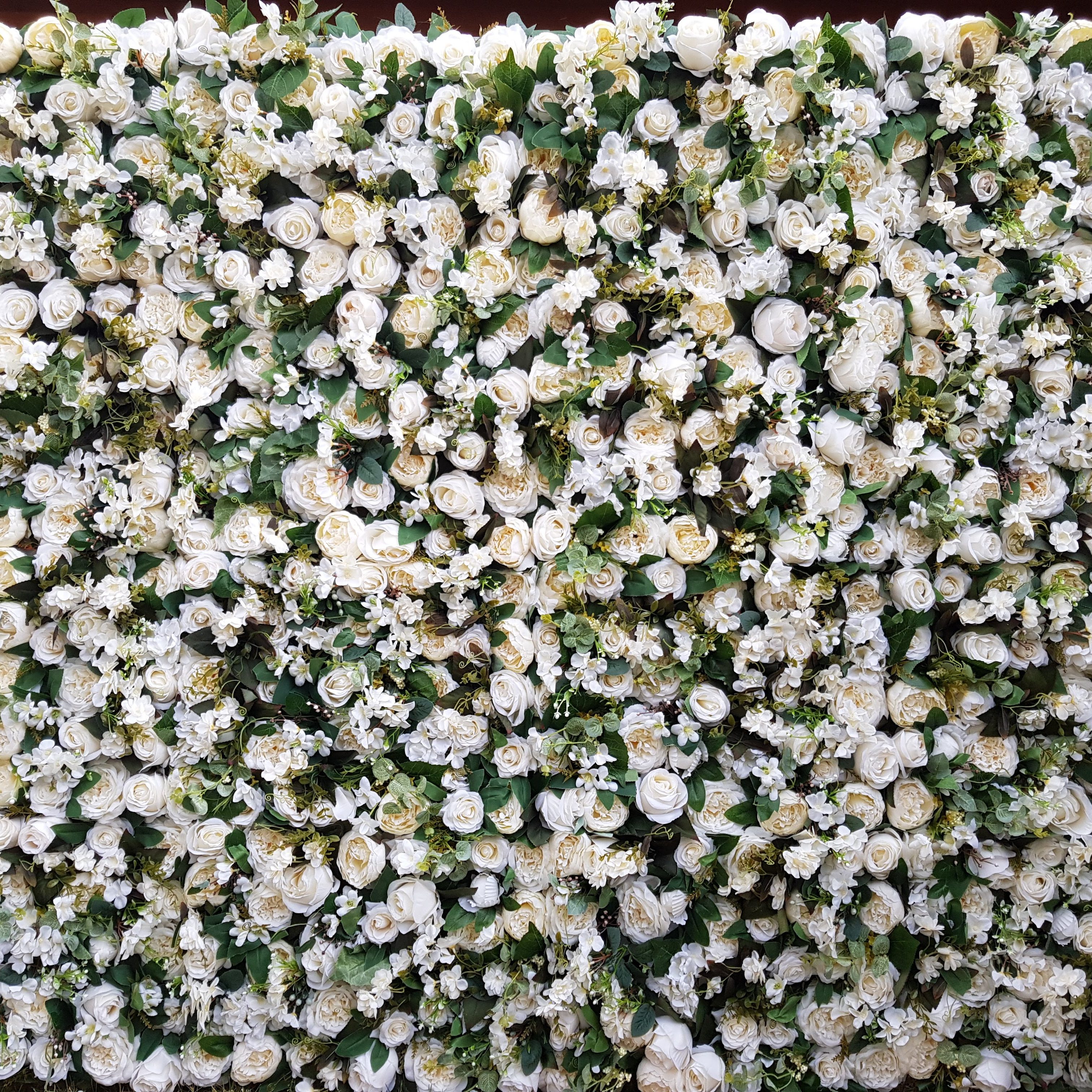 white rose and foliage flower wall